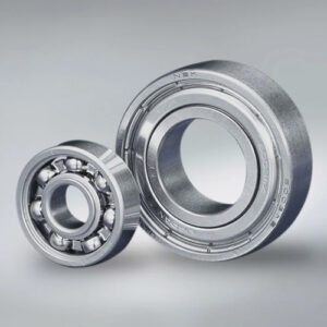 SPECIAL BEARING